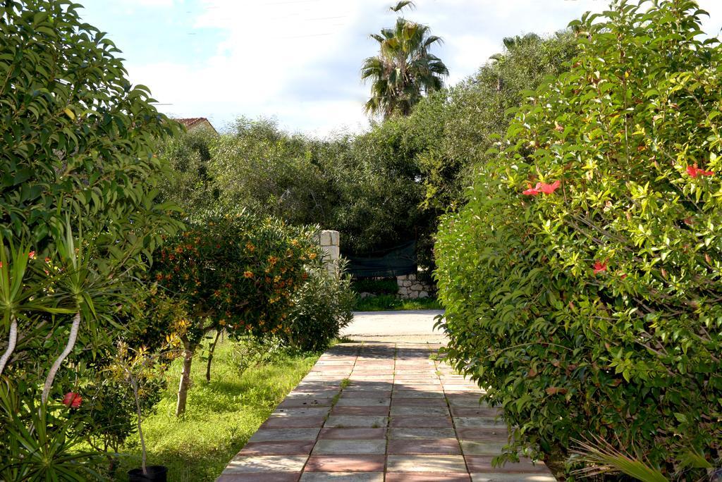 Andriani-Michalis Studios Vasilikí Eksteriør bilde